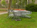 Foto: Einkaufswagen 